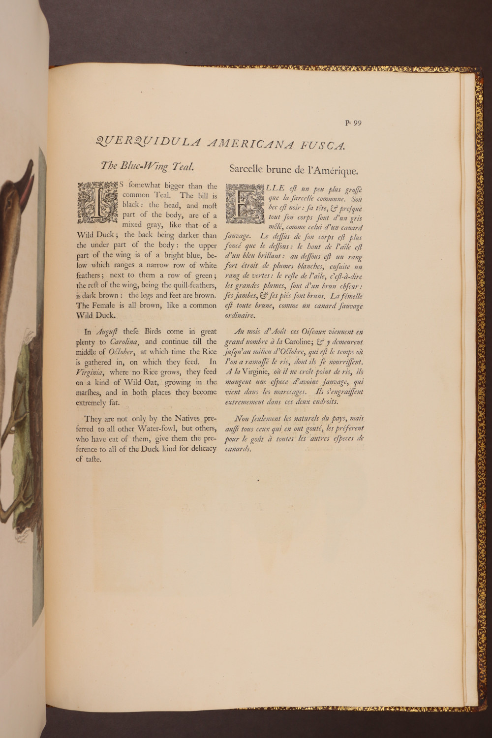 Page 99